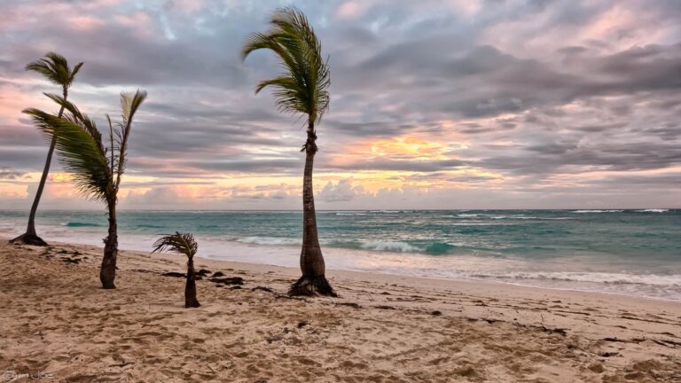Voyage au Mexique : meilleures activités pour une aventure inoubliable