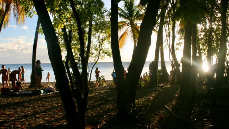 Que faire en Martinique en famille ? idées, conseils et expériences