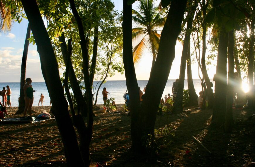 Que faire en Martinique en famille ? idées, conseils et expériences