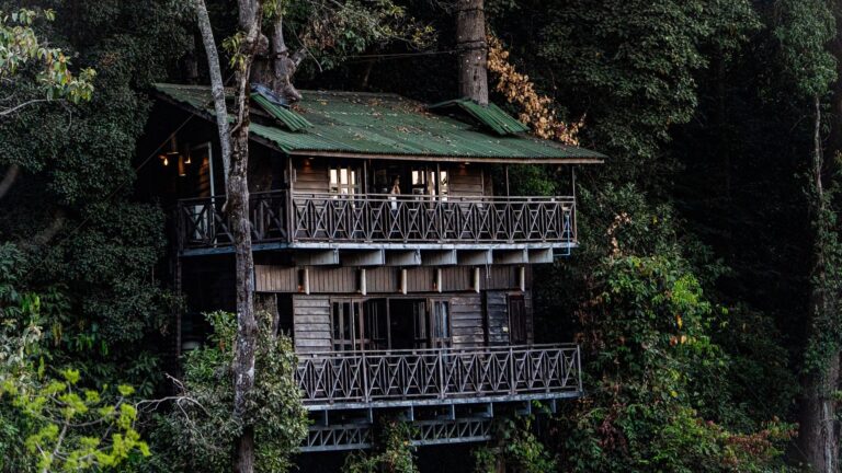 Cabanes dans les arbres : où dormir en France pour un séjour insolite ?