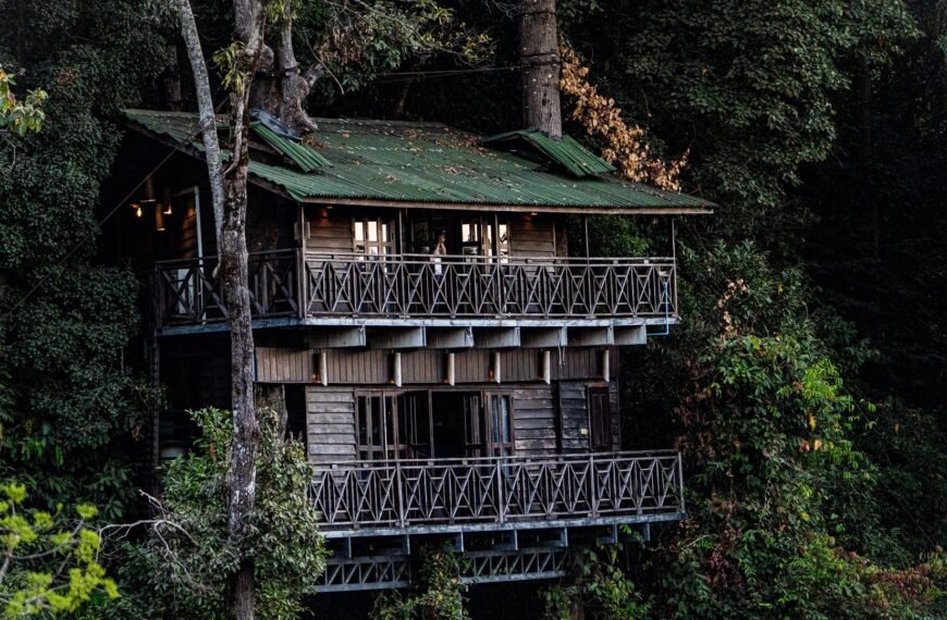 Cabanes dans les arbres : où dormir en France pour un séjour insolite ?
